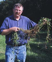 Professor Albrecht with kura clover