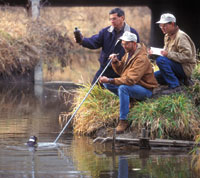 Taking a water sample