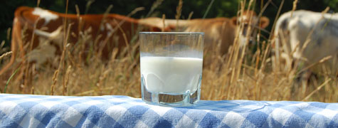 glass of milk