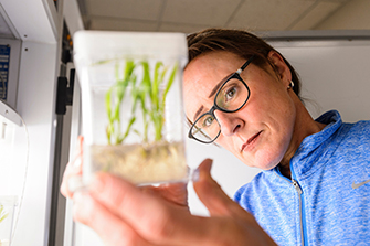Woman holding up a new plant in a transparent bag