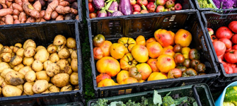 Vegetables in boxes